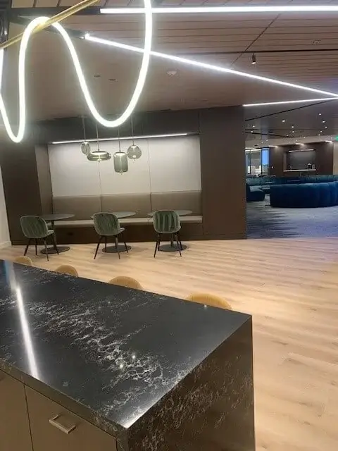 Commercial-TI - Illumina Rubicon showcase Image