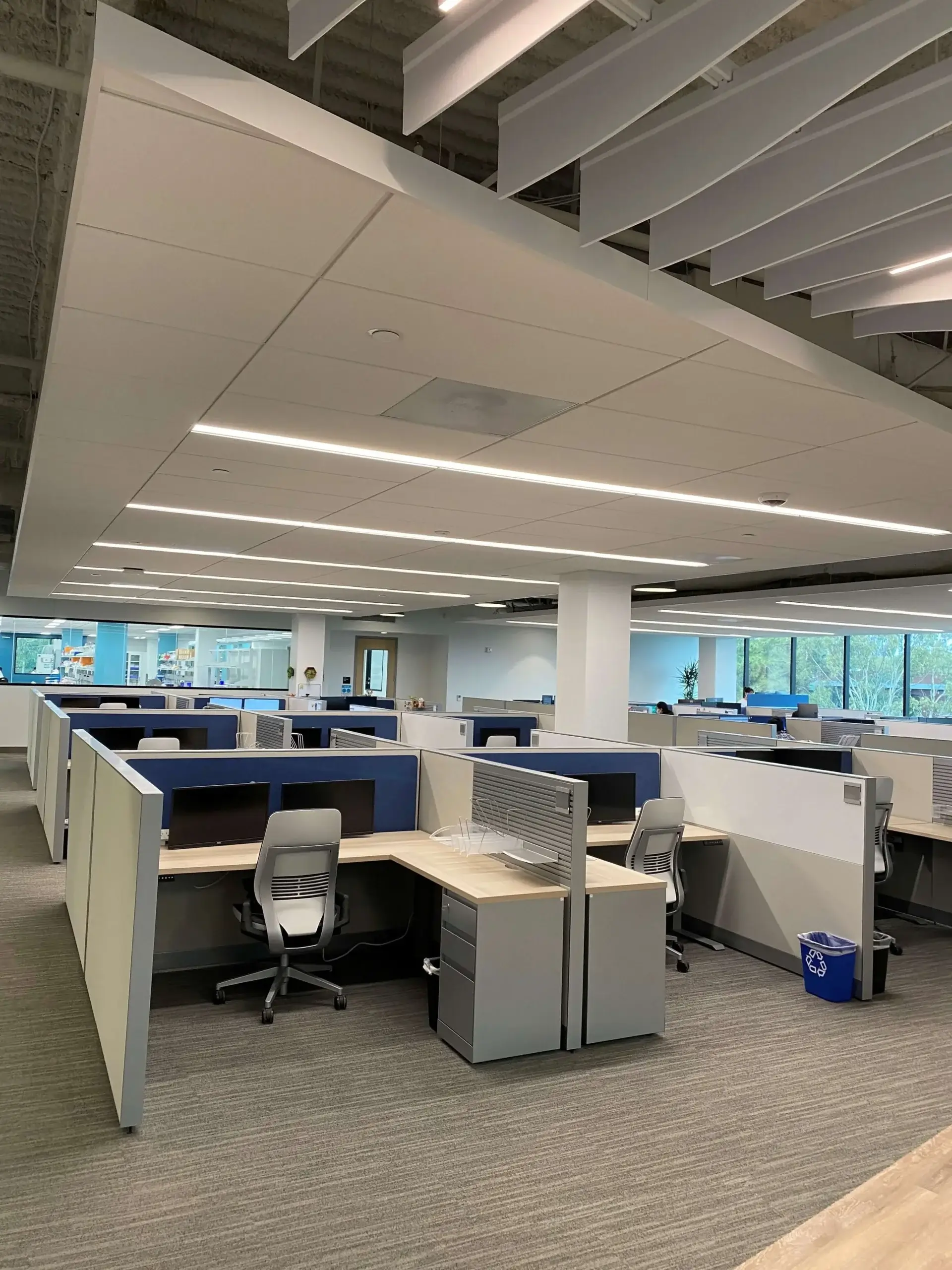 Commercial-TI - Zentalis Office Area Image