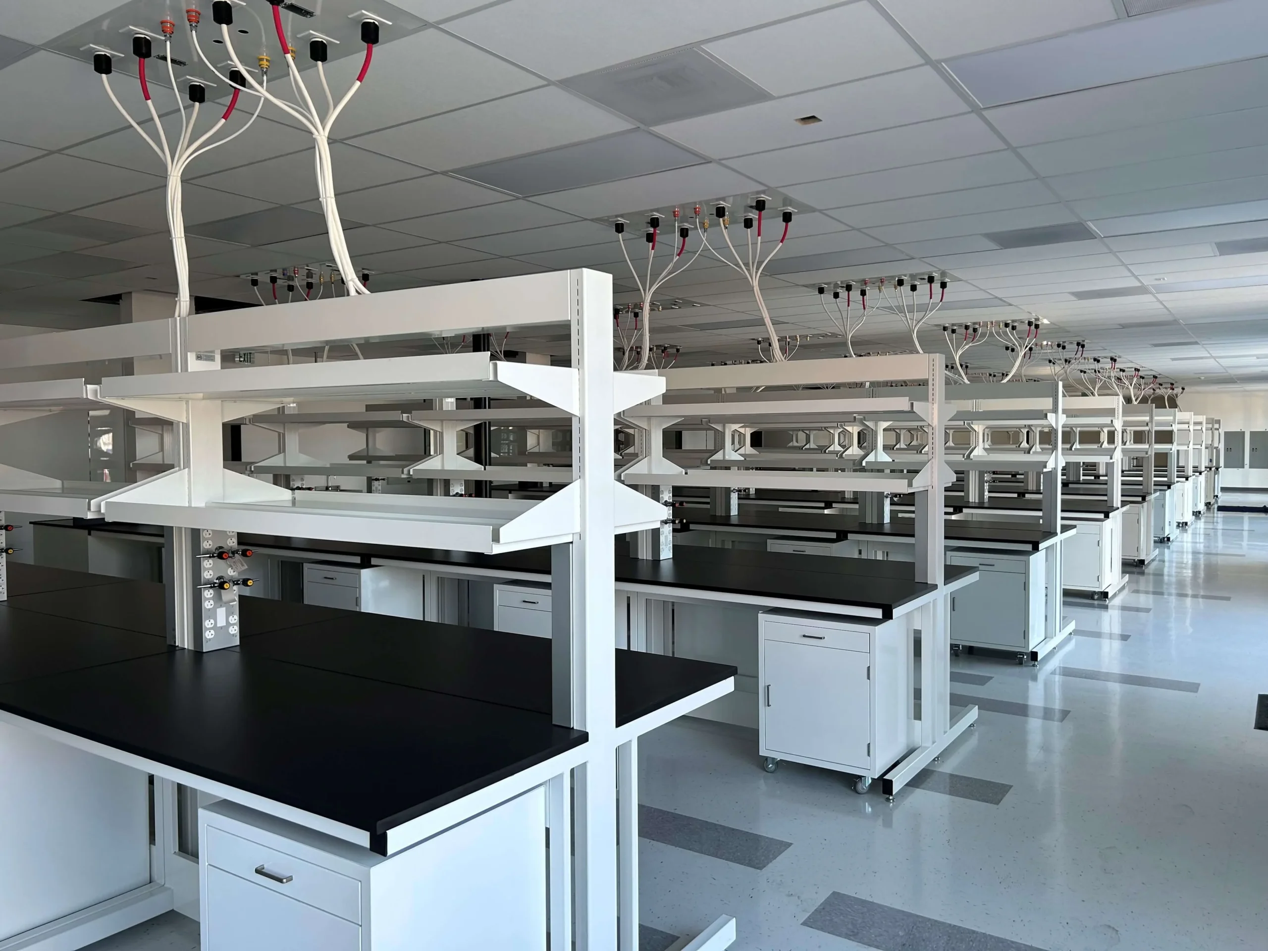 Life Sciences - SOVA Image